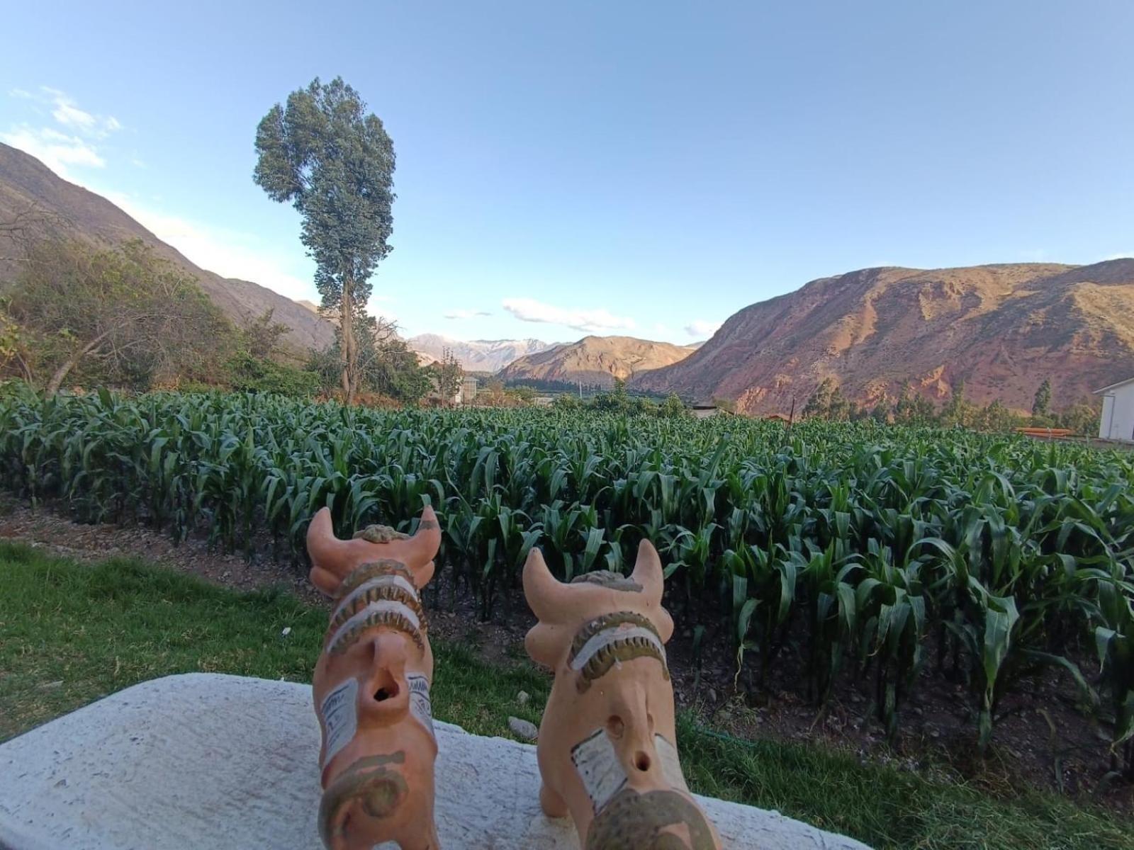 Casa Yanahuara Valle Sagrado - Urubamba Exterior foto
